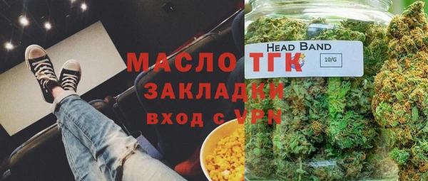 дживик Верхний Тагил