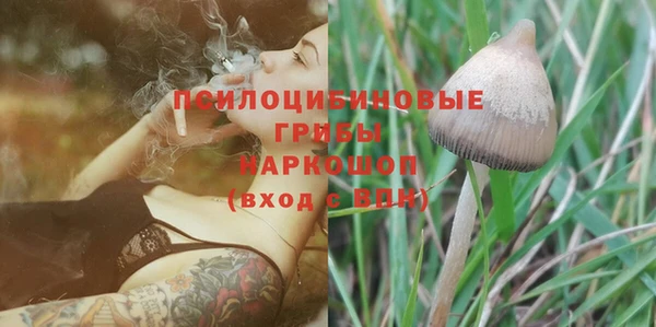 гидра Сатка