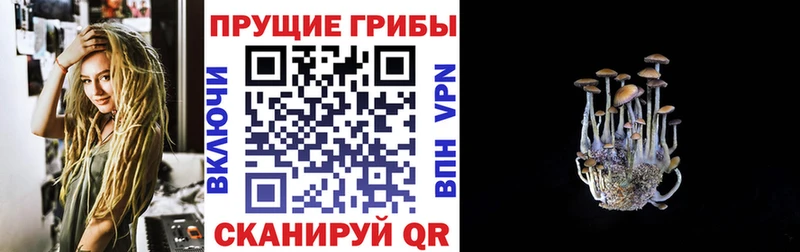 купить наркотики цена  Кандалакша  Галлюциногенные грибы мицелий 