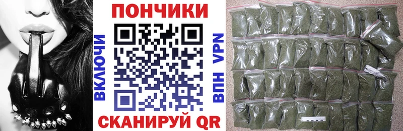 Бошки Шишки гибрид  Кандалакша 